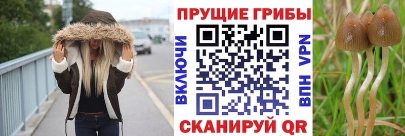 Псилоцибиновые грибы ЛСД Якутск